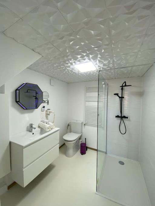 Appartement Capsule Espace-jacuzzi-cinema-nintendo Switch *